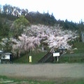 湯沢市城址公園